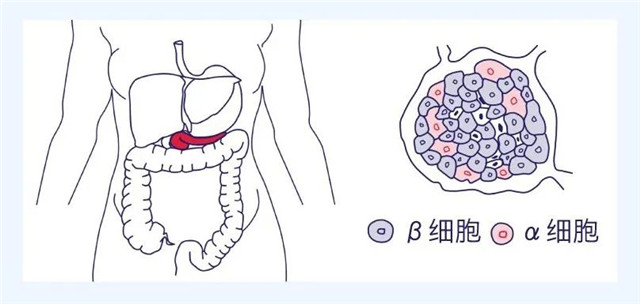 640 (1)_副本1.jpg