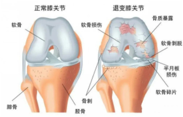 640 (1)_副本.jpg