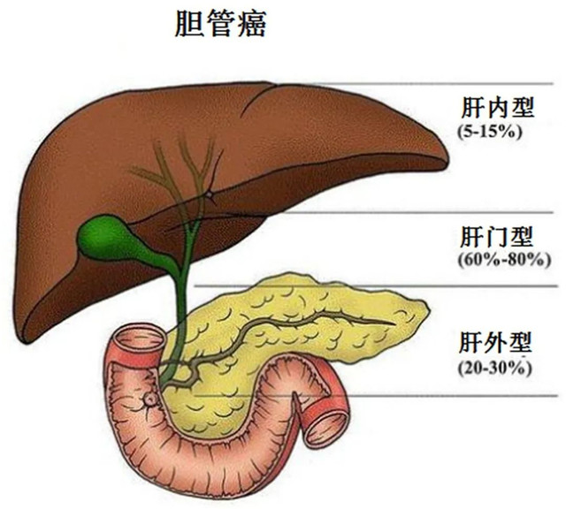 640 (1)_副本4.jpg