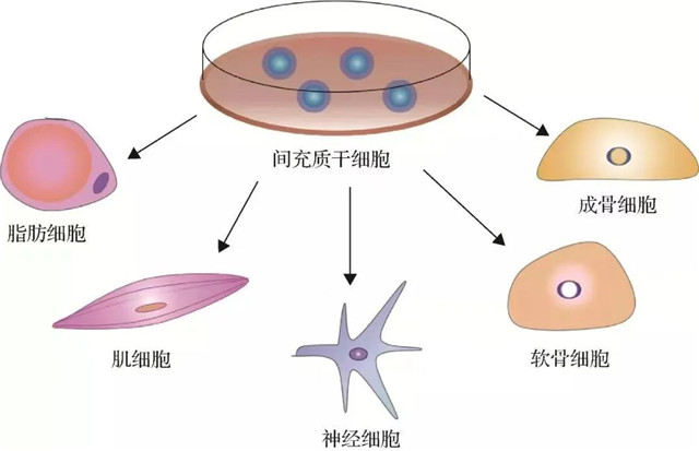 640_副本5.jpg